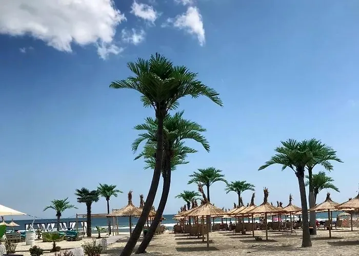 Scheer Sea View Apartment Navodari